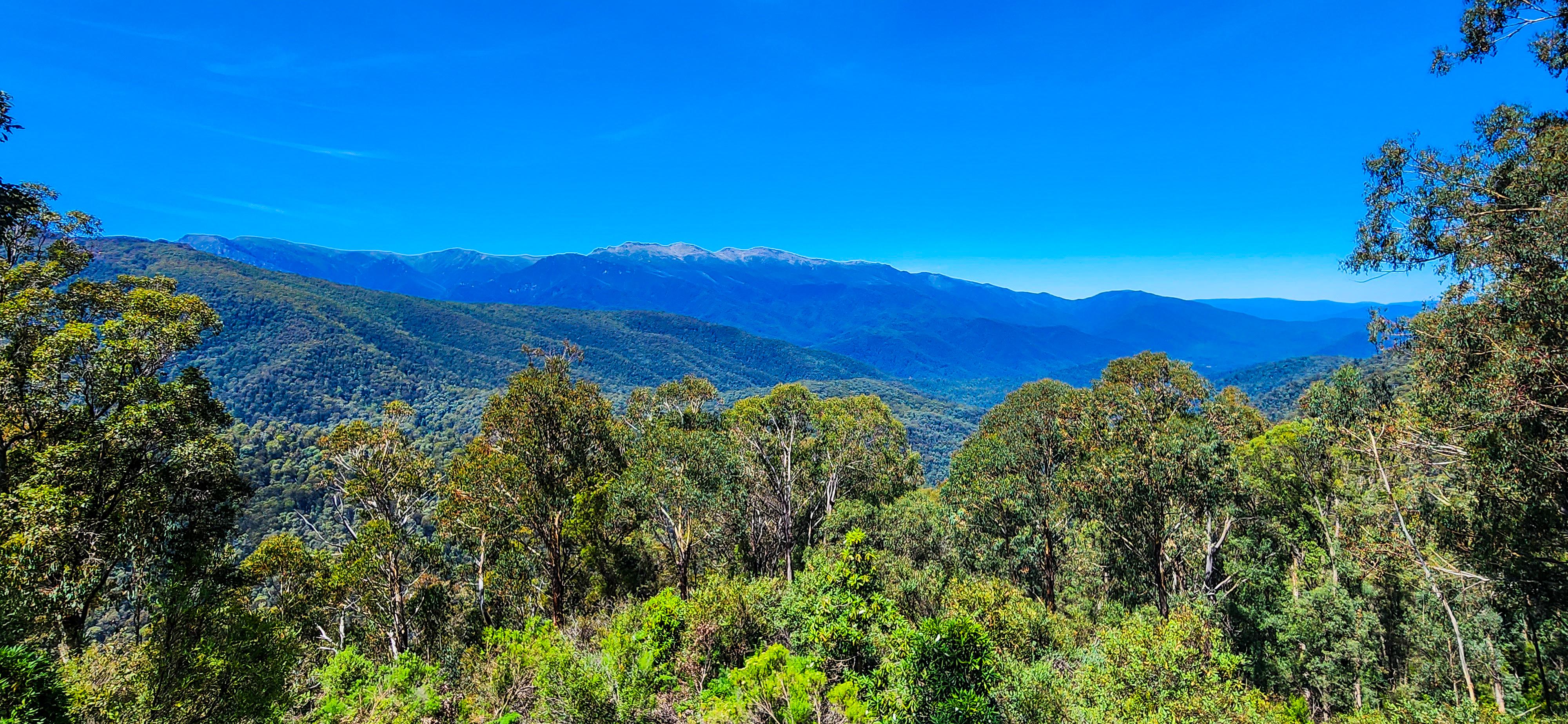 Scammells Lookout